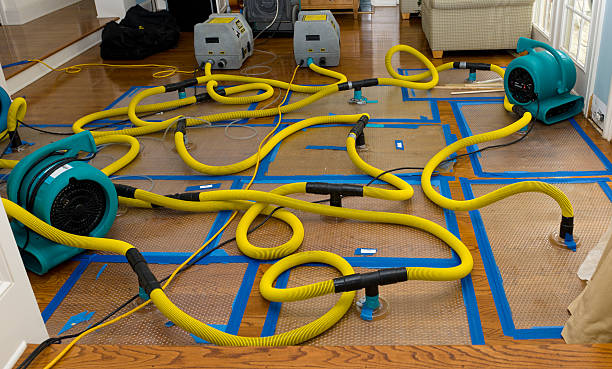 Professional Storm Water Damage Restoration technician working in Macedonia, IA